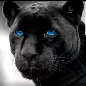 Meet your Posher, Yolanda